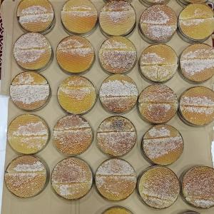 قرص عسل. سدر